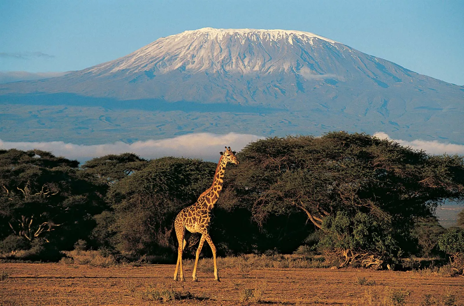 Helicopter crash on Tanzania’s Mount Kilimanjaro kills five