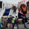 Indigo Flight Evacuated As Power Bank Catches Fire After Landing In Chandigarh, India 6 Injured In Emergency Evacuation