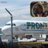 How This Person Got Over 12-Foot Fence With Razor Wire? DIA Responsible For Airport Perimeter Security Faces Tough Questions.