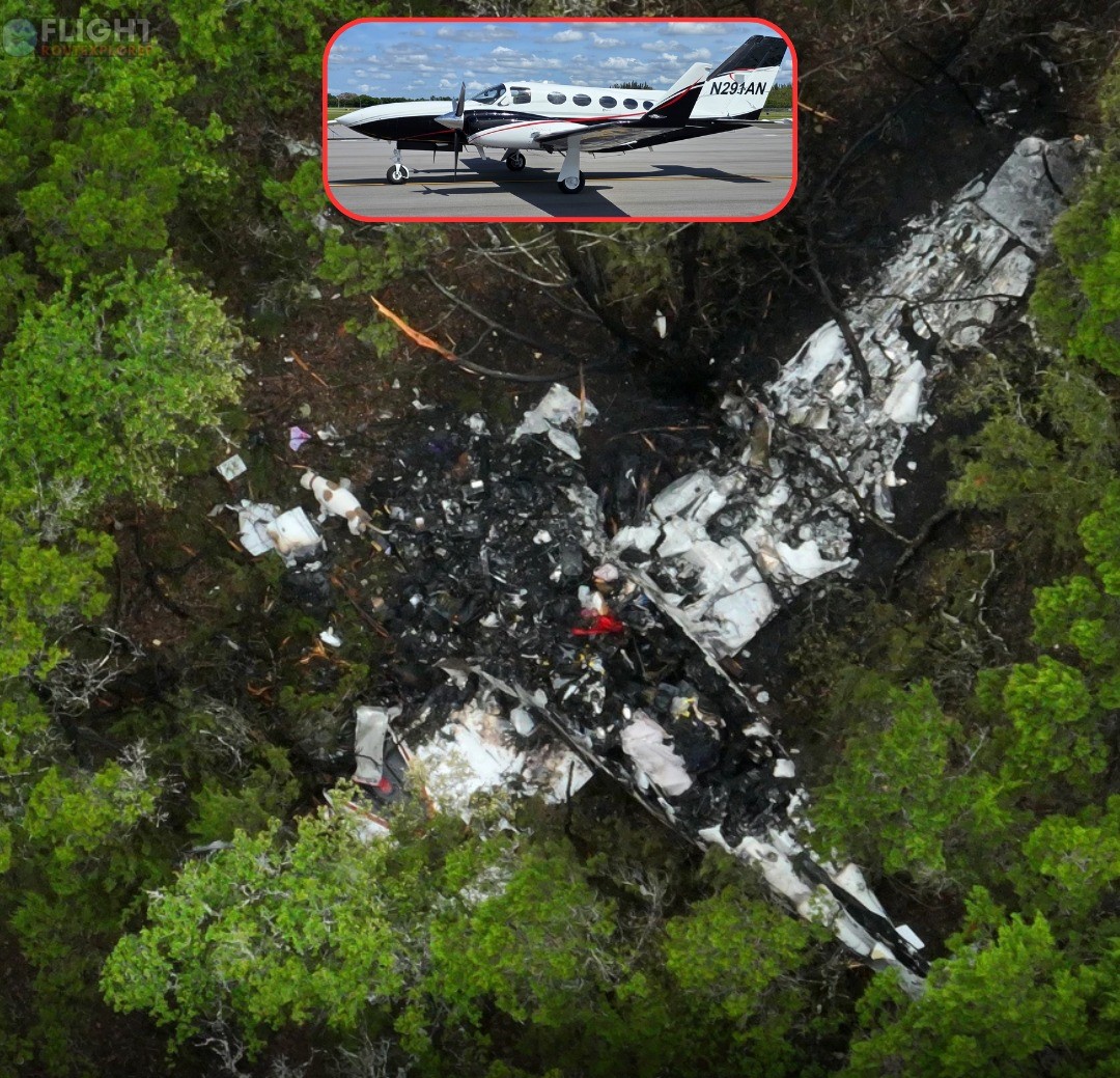 Freezing Conditions, Erratic Manoeuvres Before Aircraft Broke Apart Midair, Plummeted To The Ground Killing All Five Aboard: NTSB Report On Wimberley Plane Crash