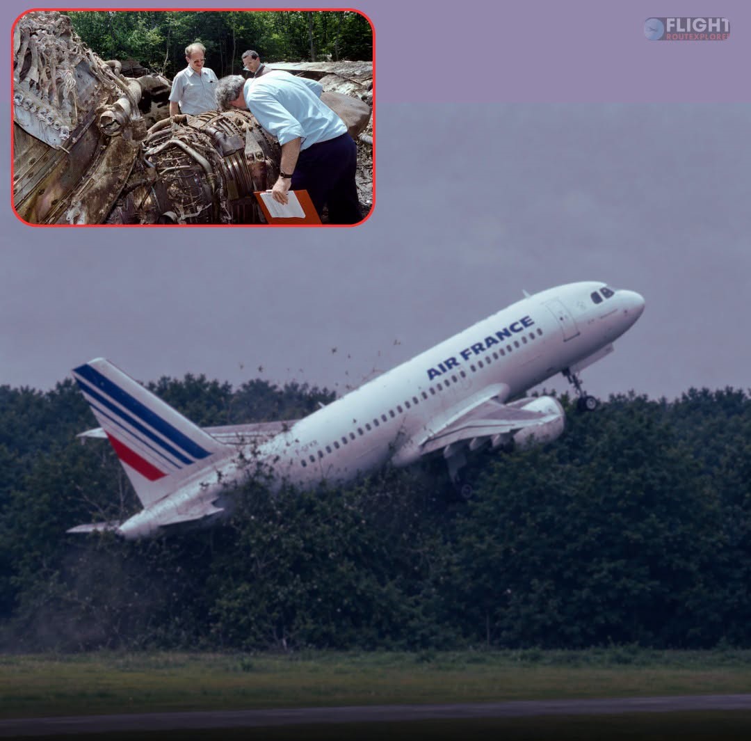 Today In 1988: The Brand-New Airbus A320 Crashed On Its Very First Passenger Flight After Descending So Low It Struck Trees In Front Of Thousands