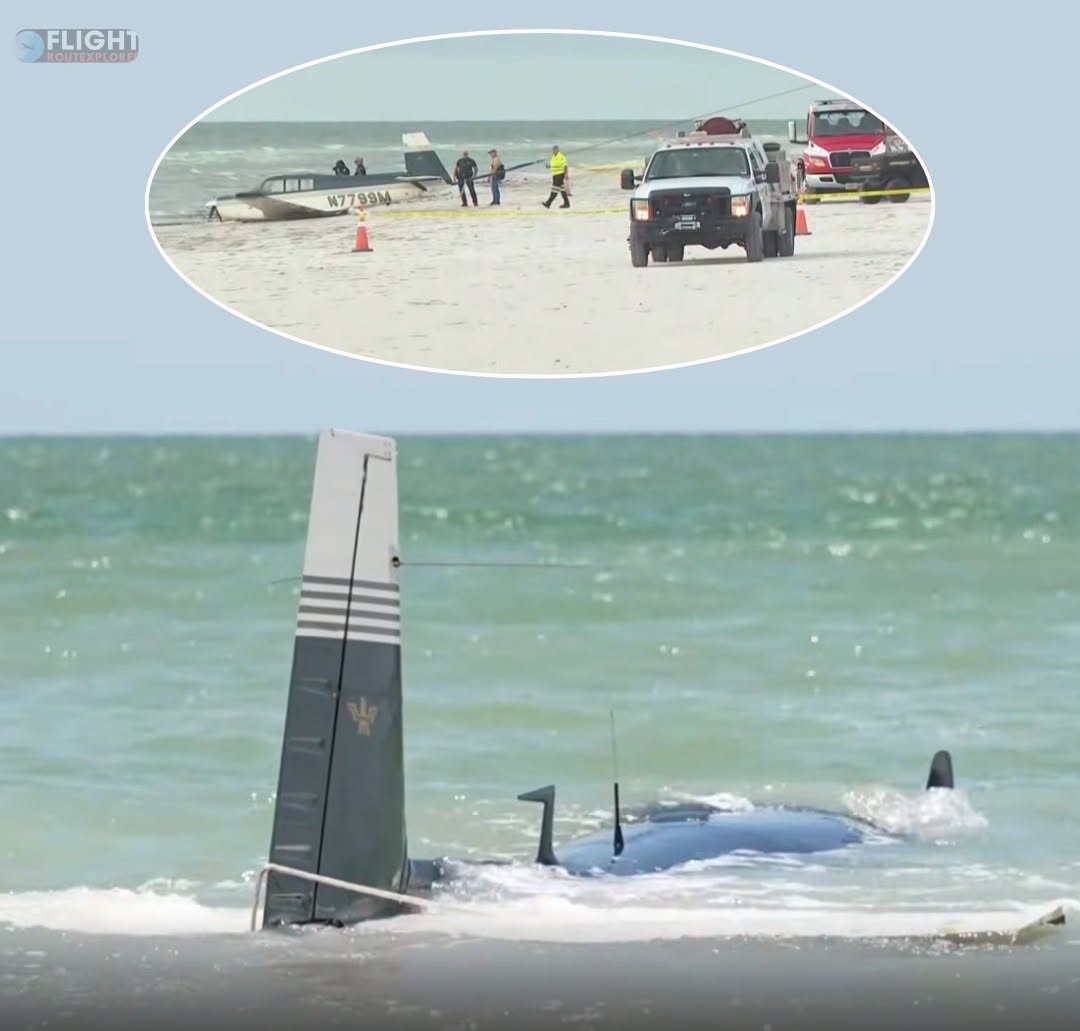 Father And Young Son Walk Out Of The Waves After Small Plane Crash Lands Off Florida Beach