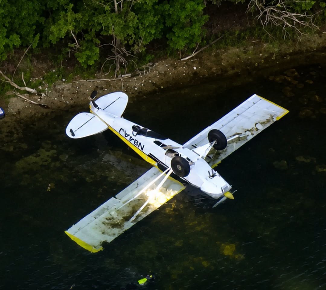 Pilot Killed After Piper PA-18 Crashes Upside Down Into Massachusetts Pond, NTSB Leads Investigation