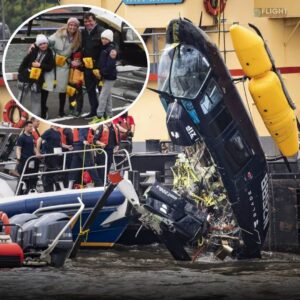 NYC Sightseeing Helicopter Likely Hit Birds Before Its Fatal Plunge Into Hudson River, Report Shows
