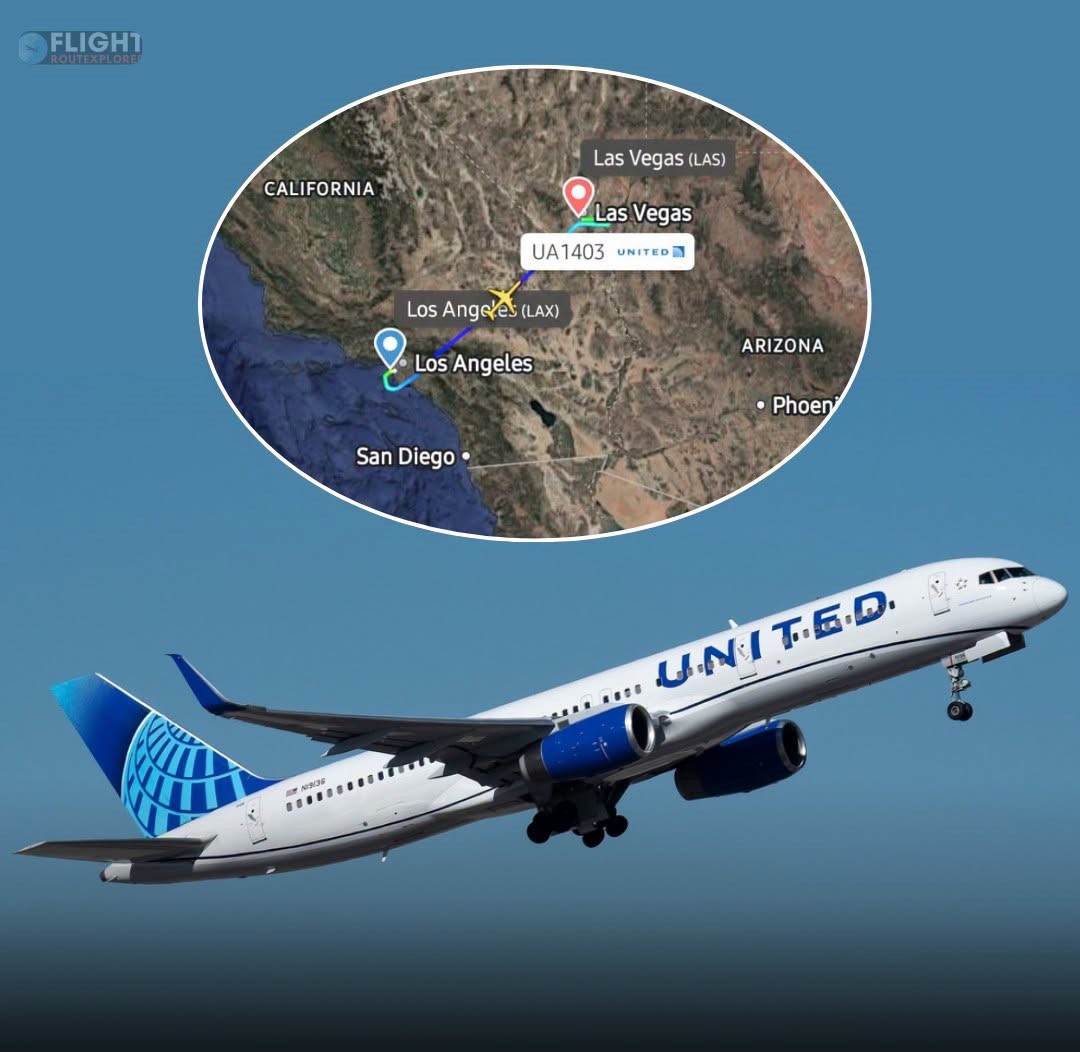 United Flight 1403 Makes Emergency Landing in Las Vegas After Engine Problem at 31,000 Feet – 183 Aboard Safe
