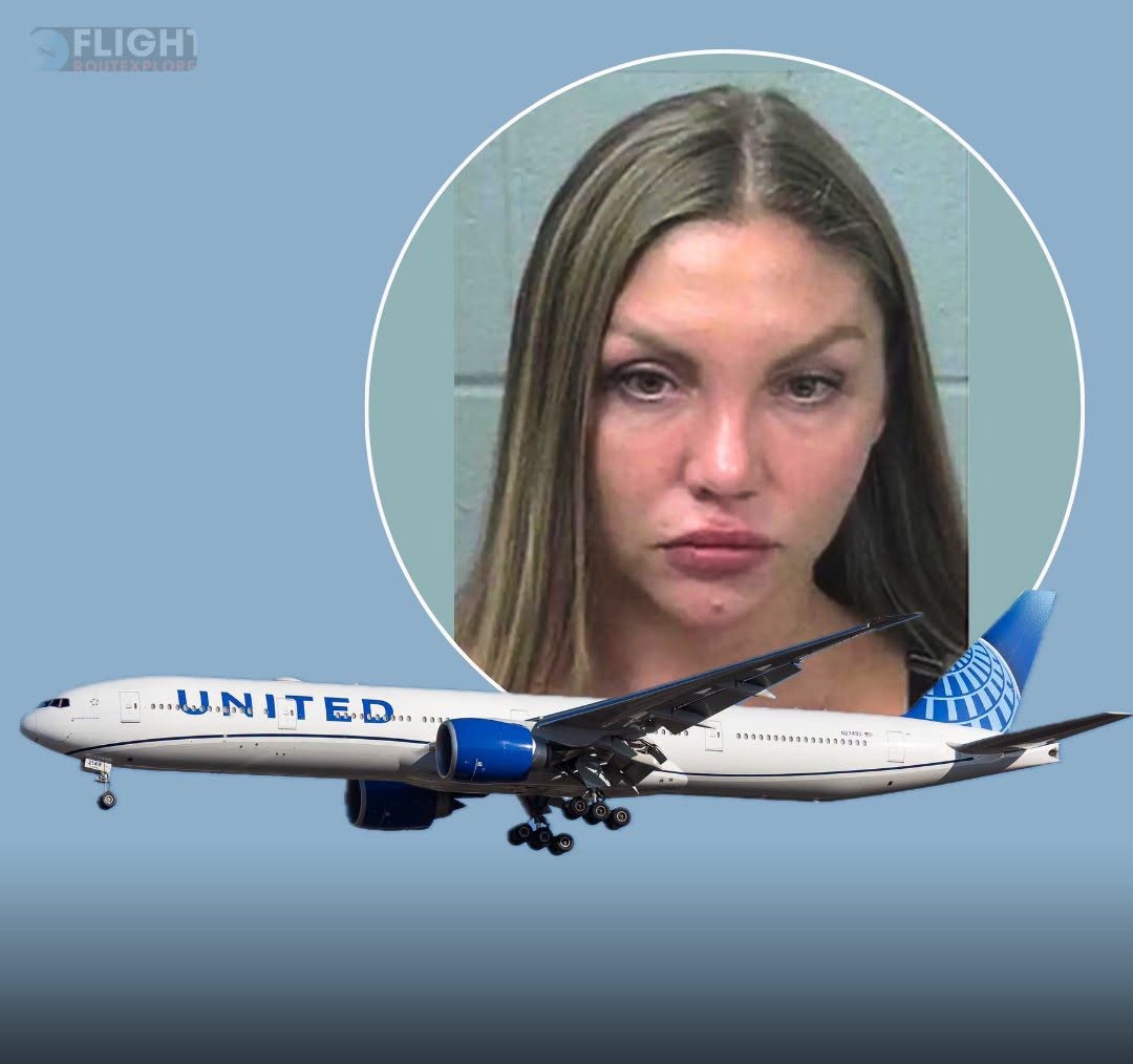 Drunk passenger tries to open plane door, bites flight attendant after being refused more alcohol